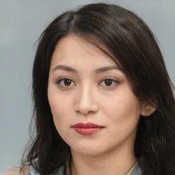 Avatar của Trần Hải An